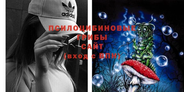 бутират Баксан