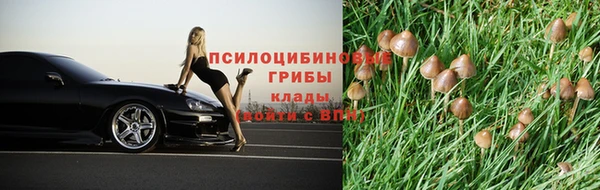 бутират Баксан