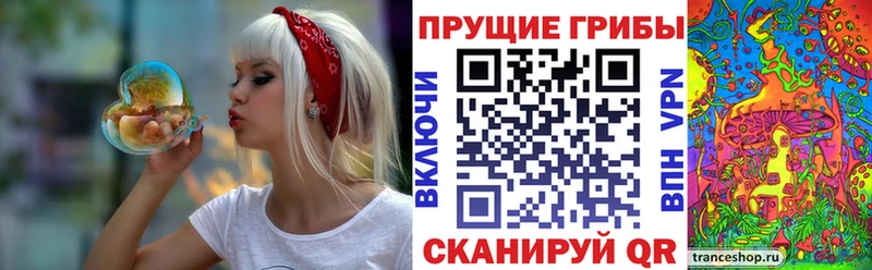 цена наркотик  blacksprut tor  Псилоцибиновые грибы мухоморы  Ульяновск 